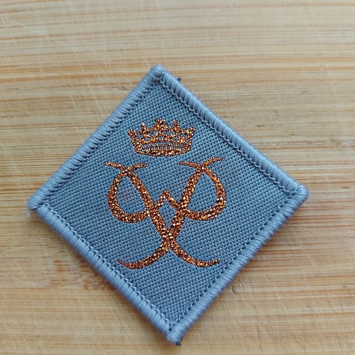 Scouting current duke of - uk,
